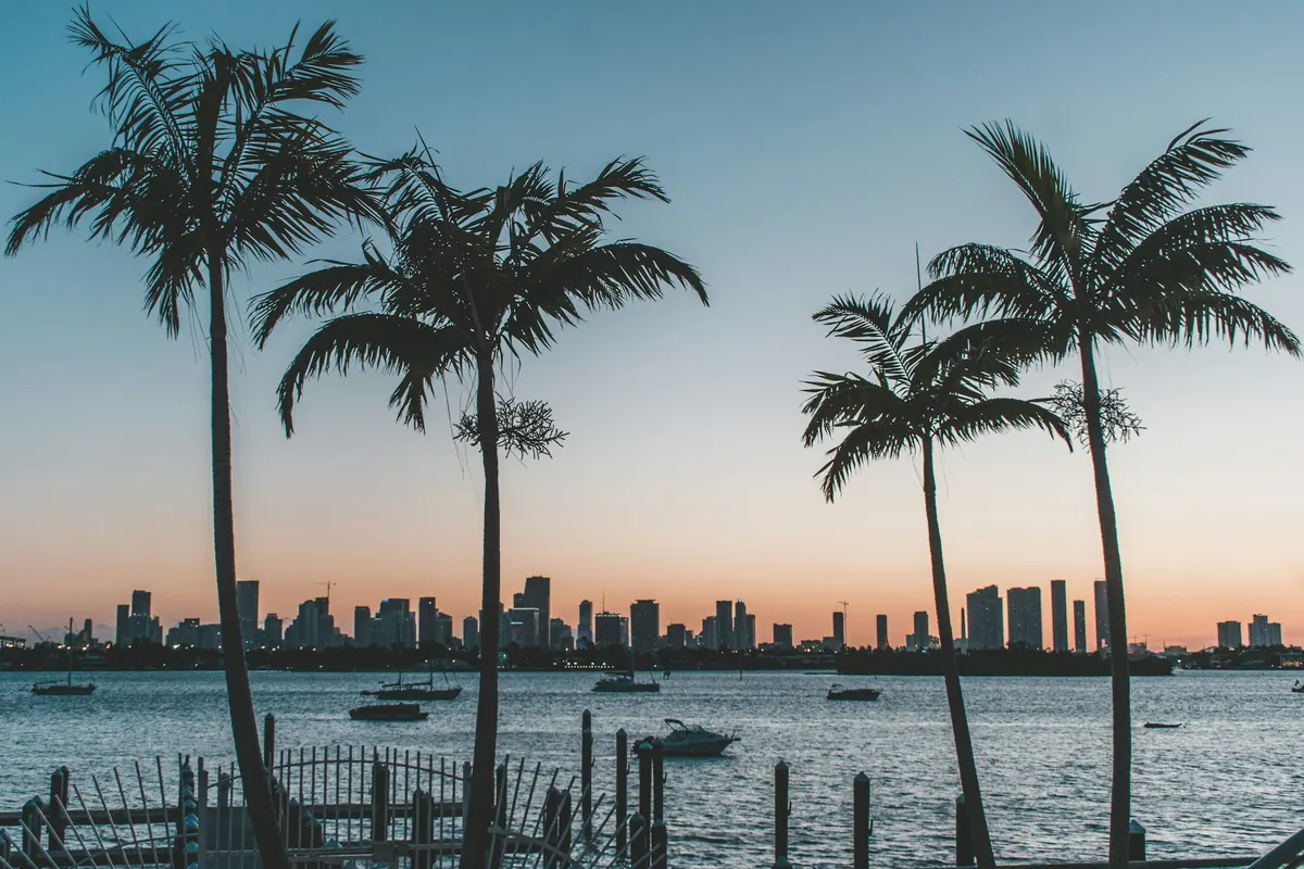 Palm trees silhouetted against a South Florida sunset
